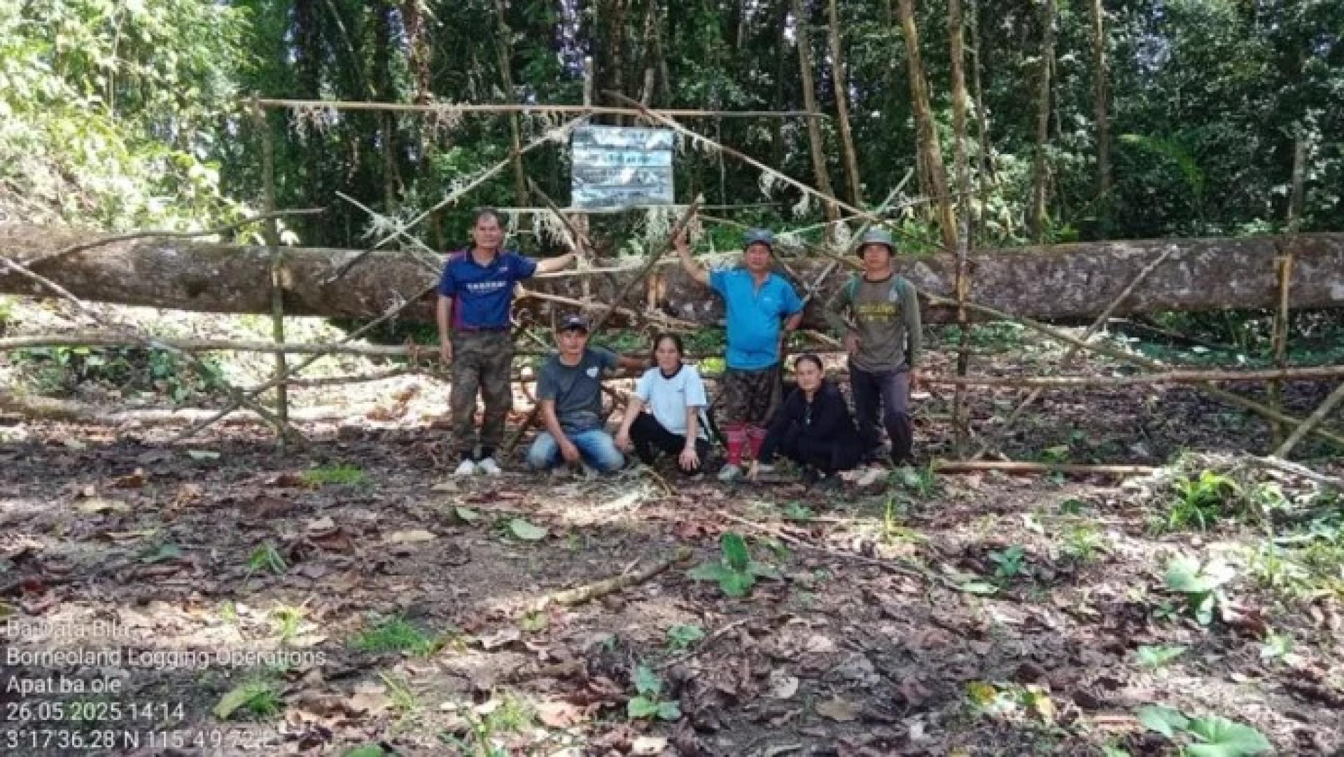 土著社区在砂拉越上巴南地区巴奥利设置的抗议伐木路障。