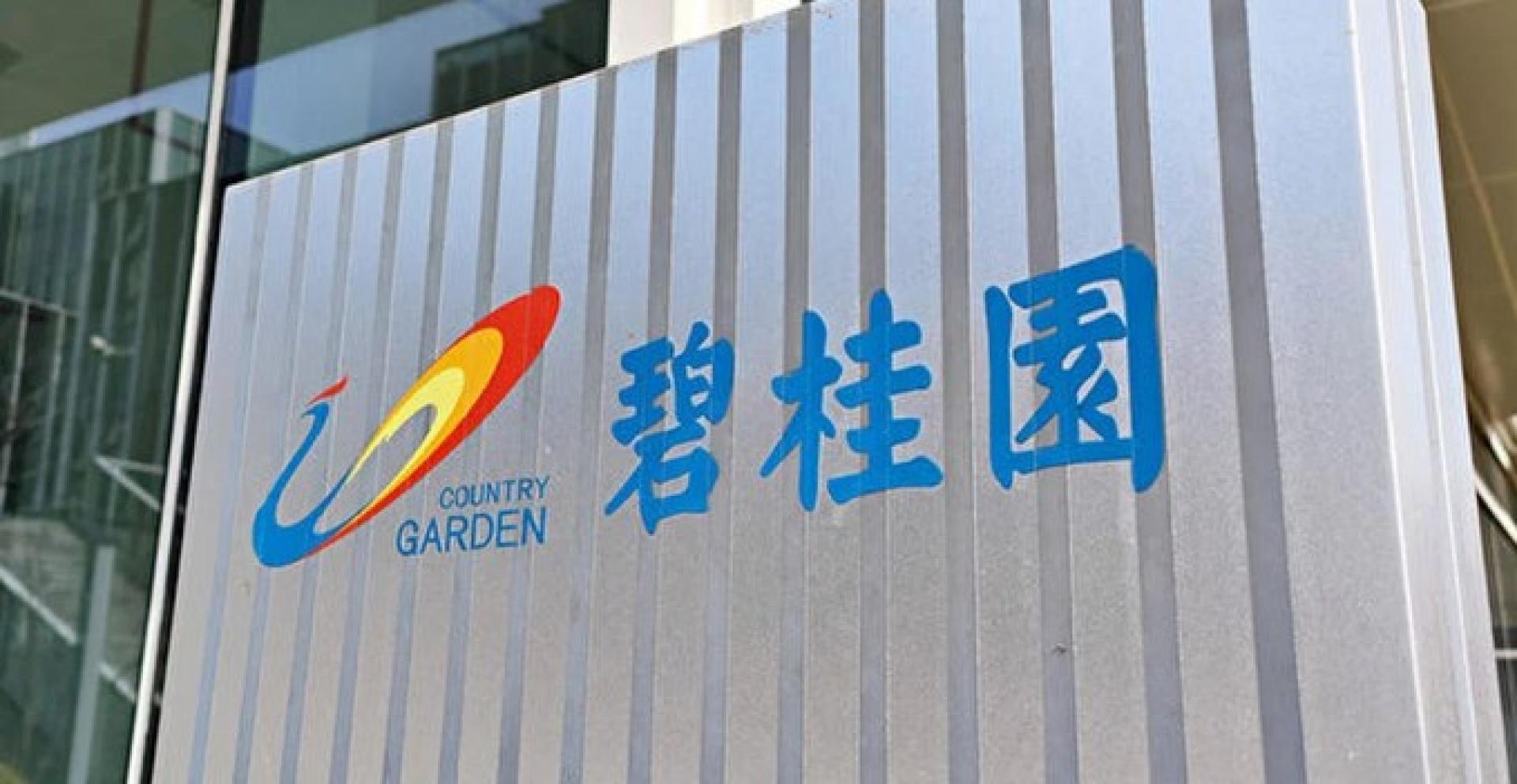 碧桂园控股11月销售恶化。