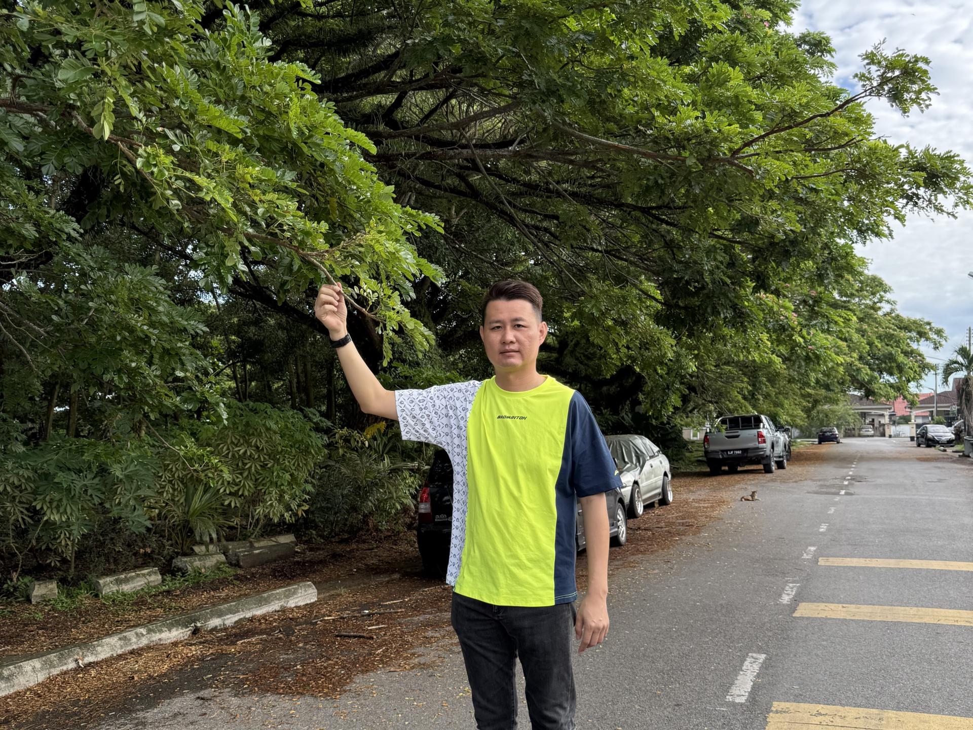 林思健接获居民投诉，发现树枝已经严重延伸覆盖整条马路，逼近居民的房屋。