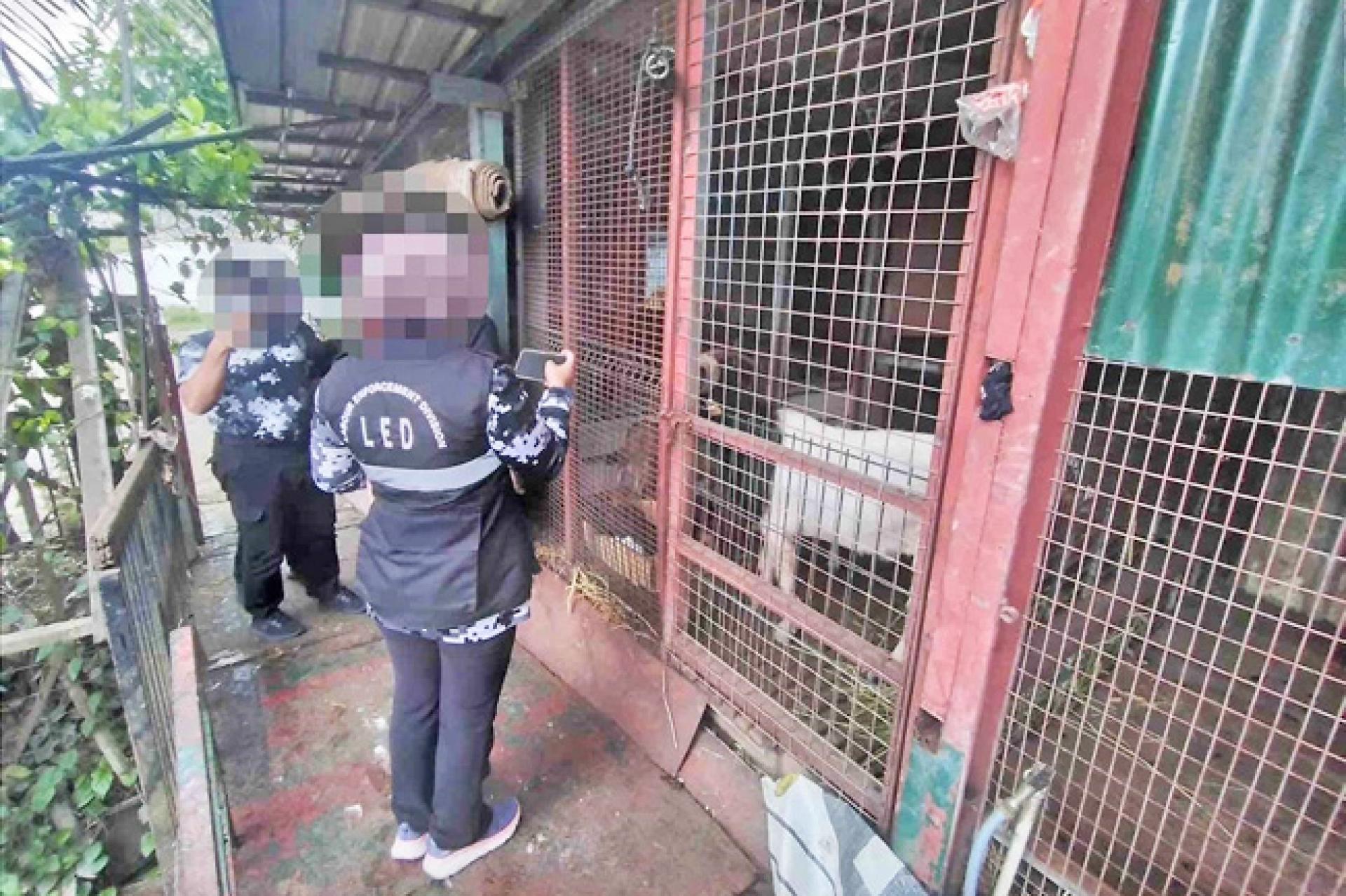 执法人员进行检查行动