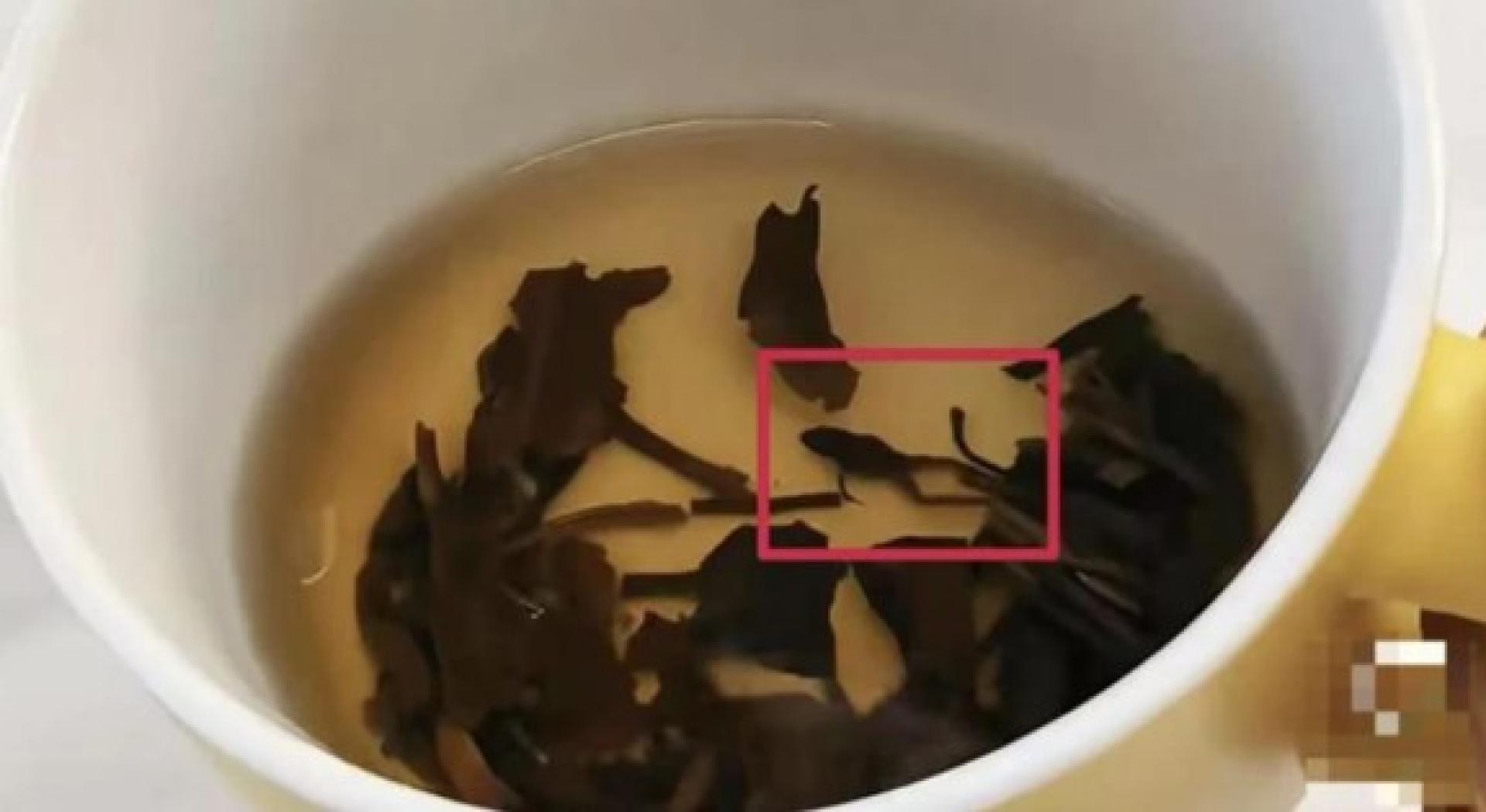 有中国网友表示，从奈雪的茶九薰茉莉茶盒里泡出一只蛙尸。