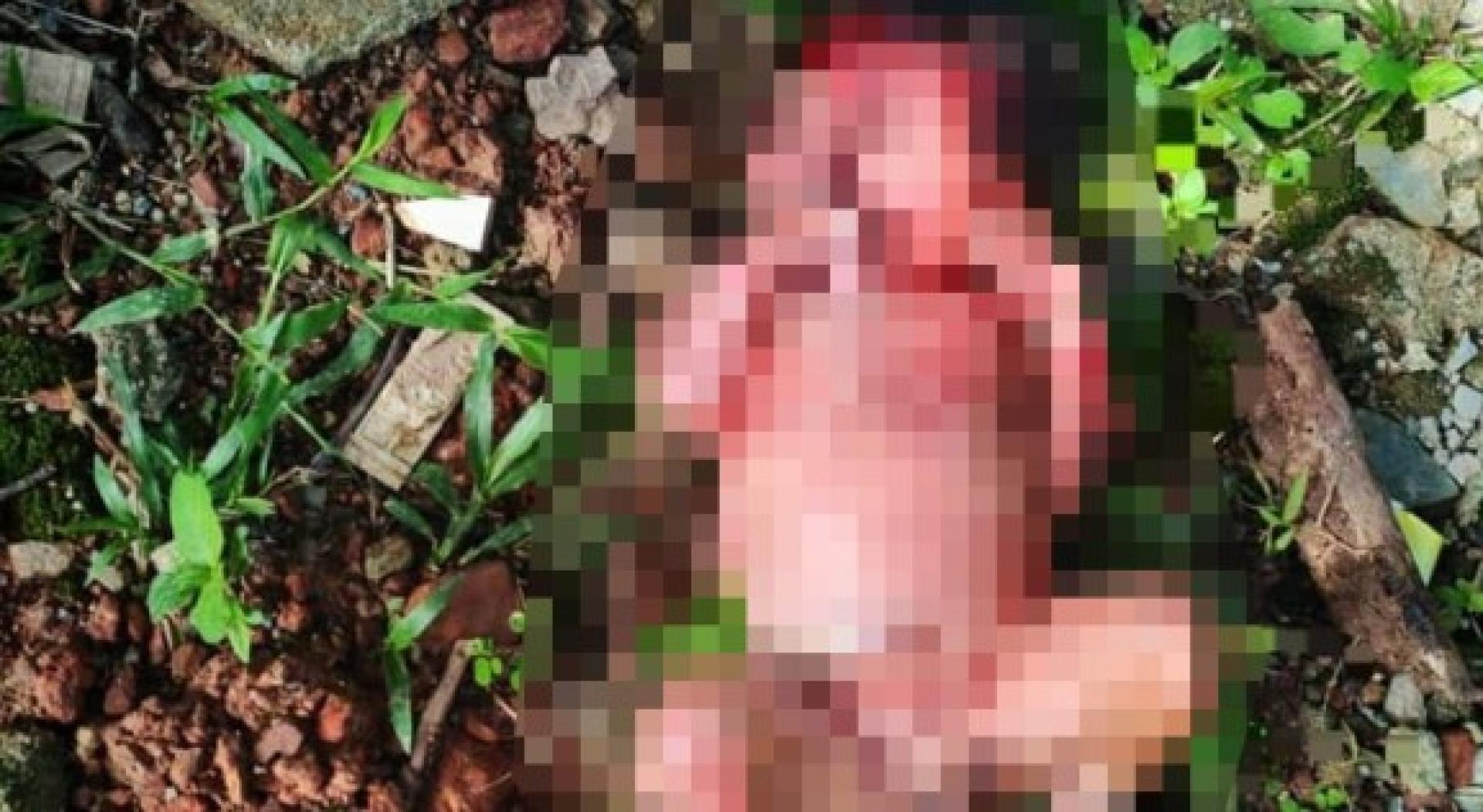 弃置在住家后巷路旁地上的男婴全身是血，惟健康情况良好。