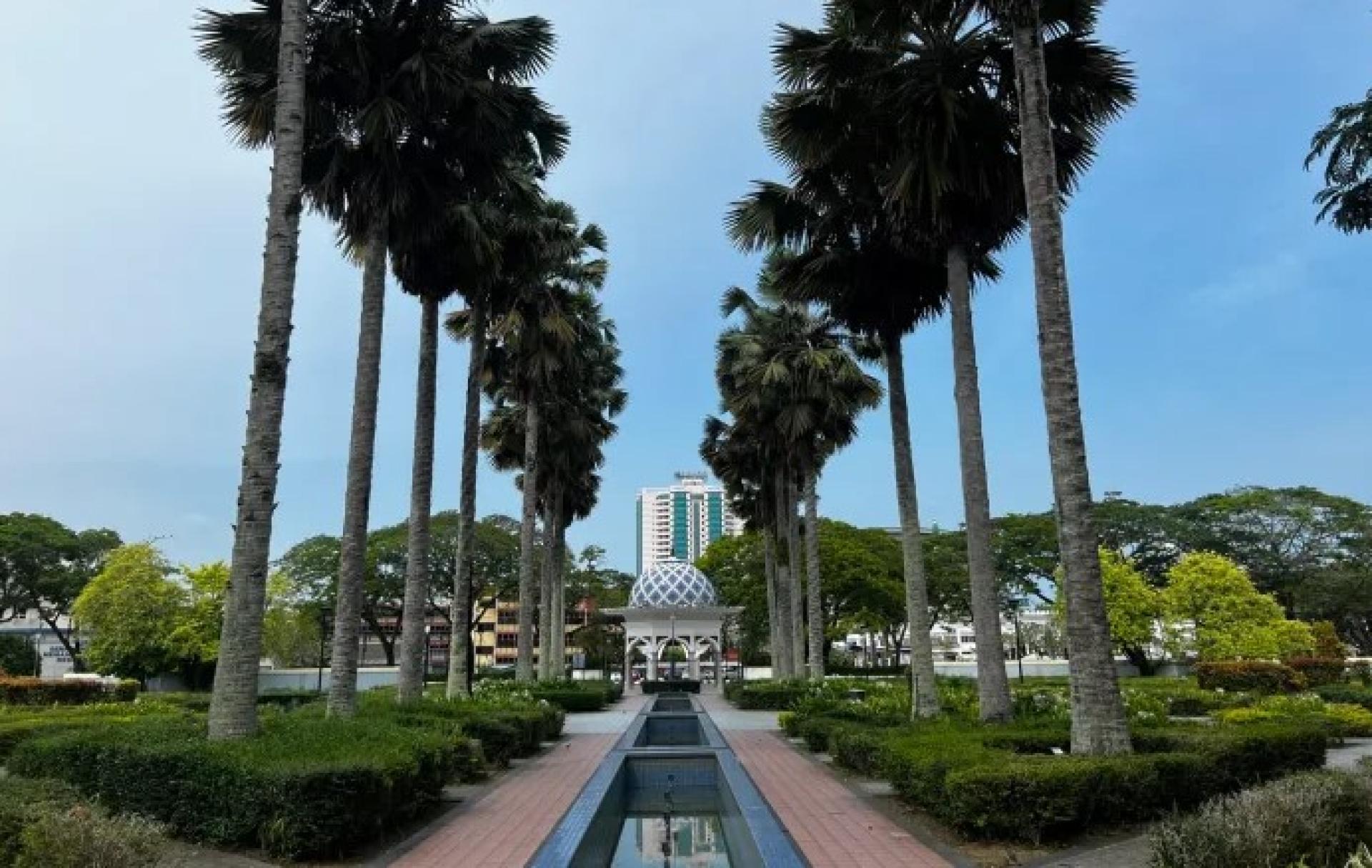美里城市公园椰树成荫景致，象征都市绿化（档案照）。
