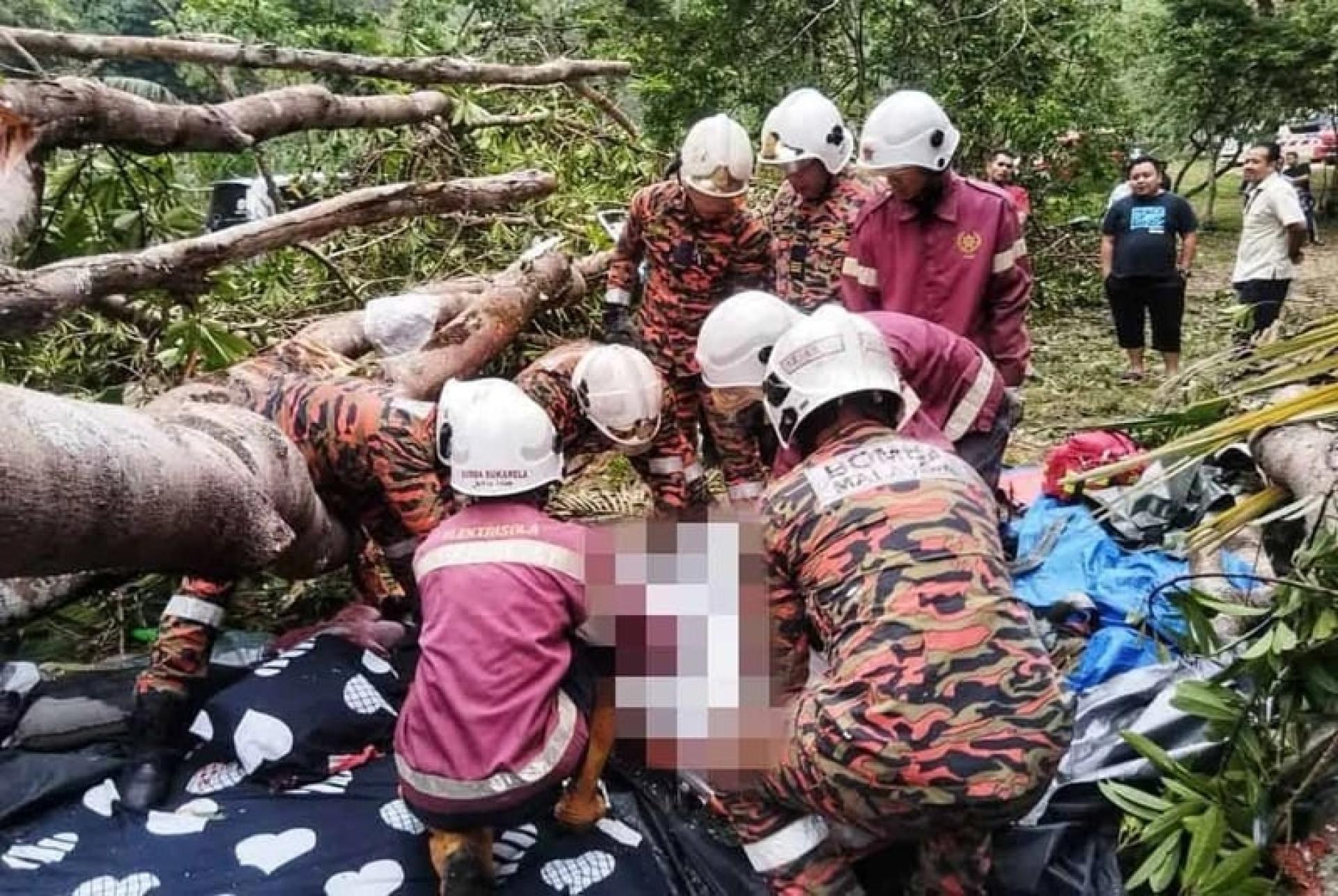 大树突倒下压毁营帐，导致女子当场死亡，另外2人受伤。