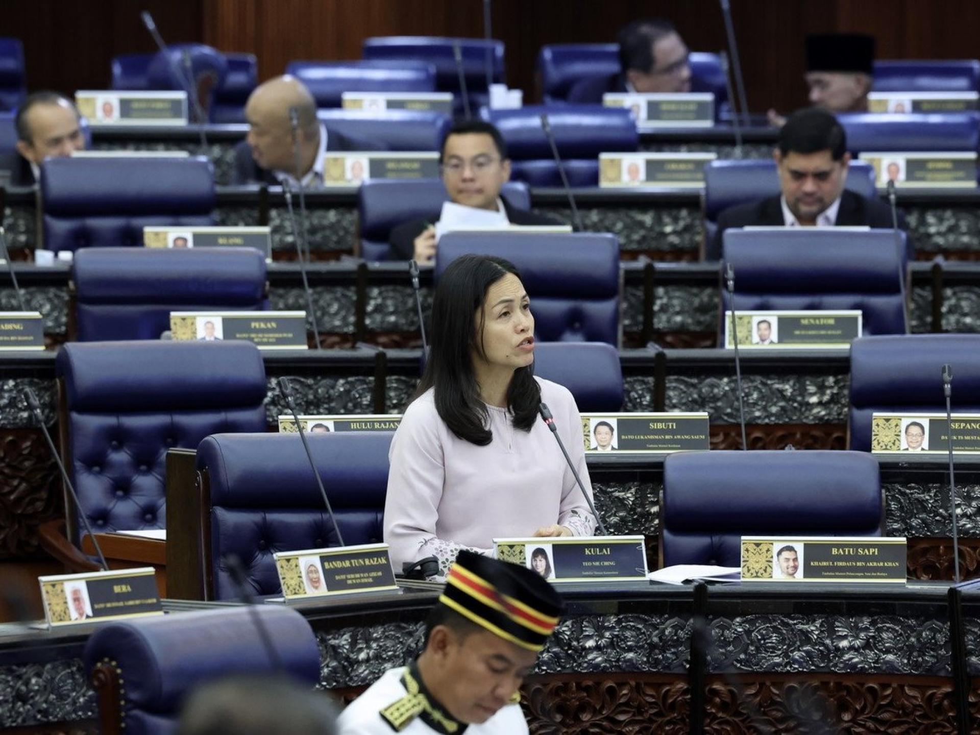 张念群希望国民在每家电讯公司只能注册2张预付SIM卡的限制，能遏制网上诈骗及散播假消息。