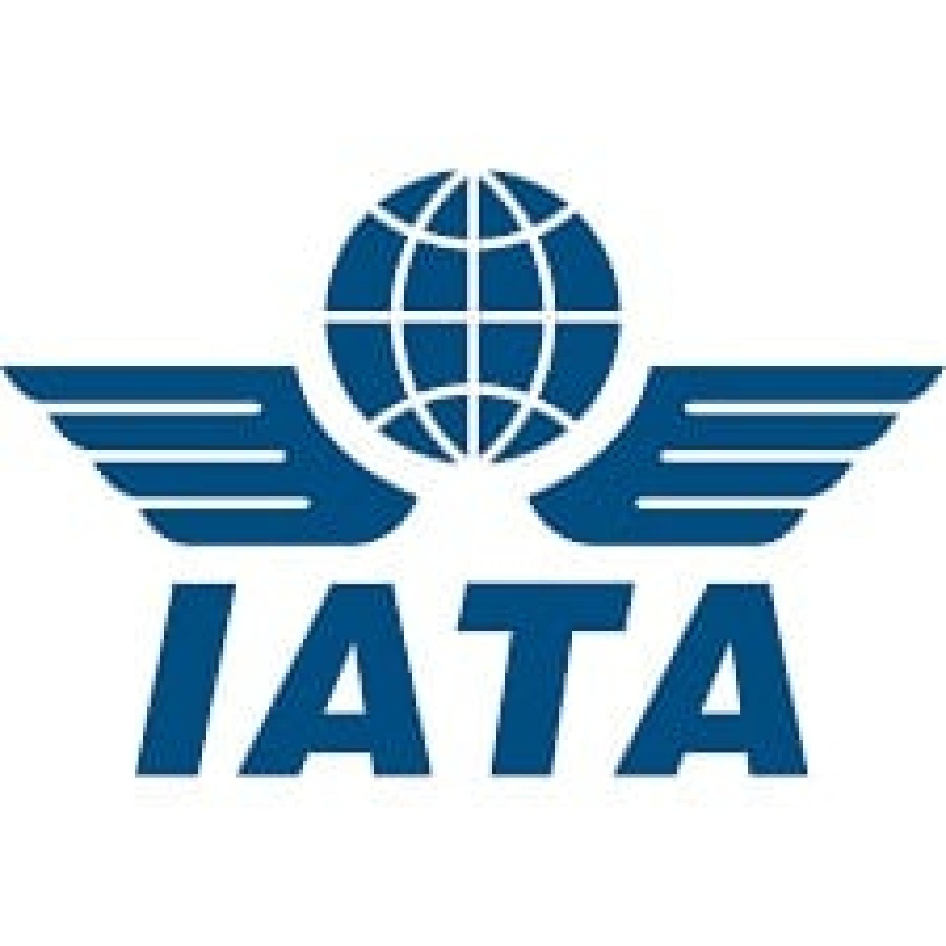 IATA联同马日业界伙伴，呼吁各政府与国际社会进一步肯定国际民航组织的领导角色，以在2050年实现航空业净零排放。