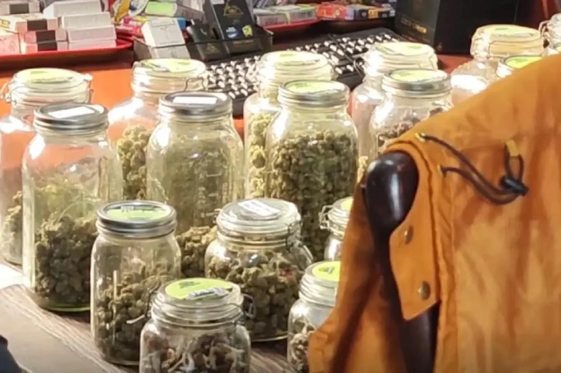 清迈警方突袭卖迷幻蘑菇的一家商店。