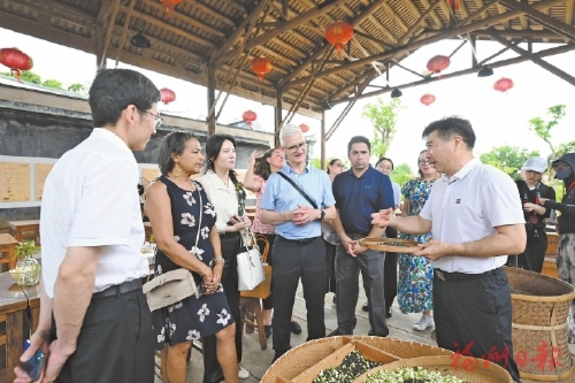美国塔科马市代表团了解福州茉莉花茶制作工艺