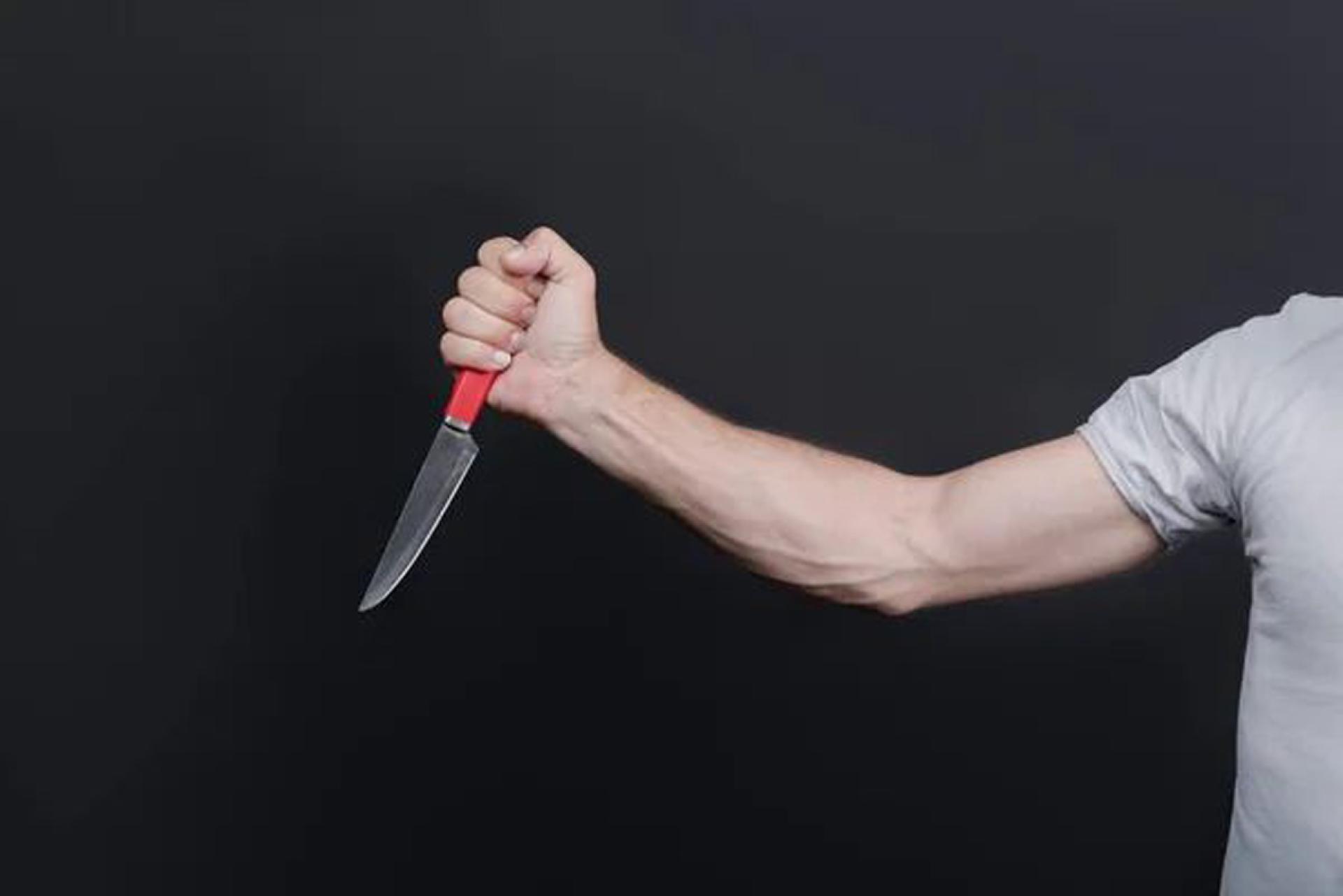 陆某使用剔骨刀杀死情夫庄某。（示意图）