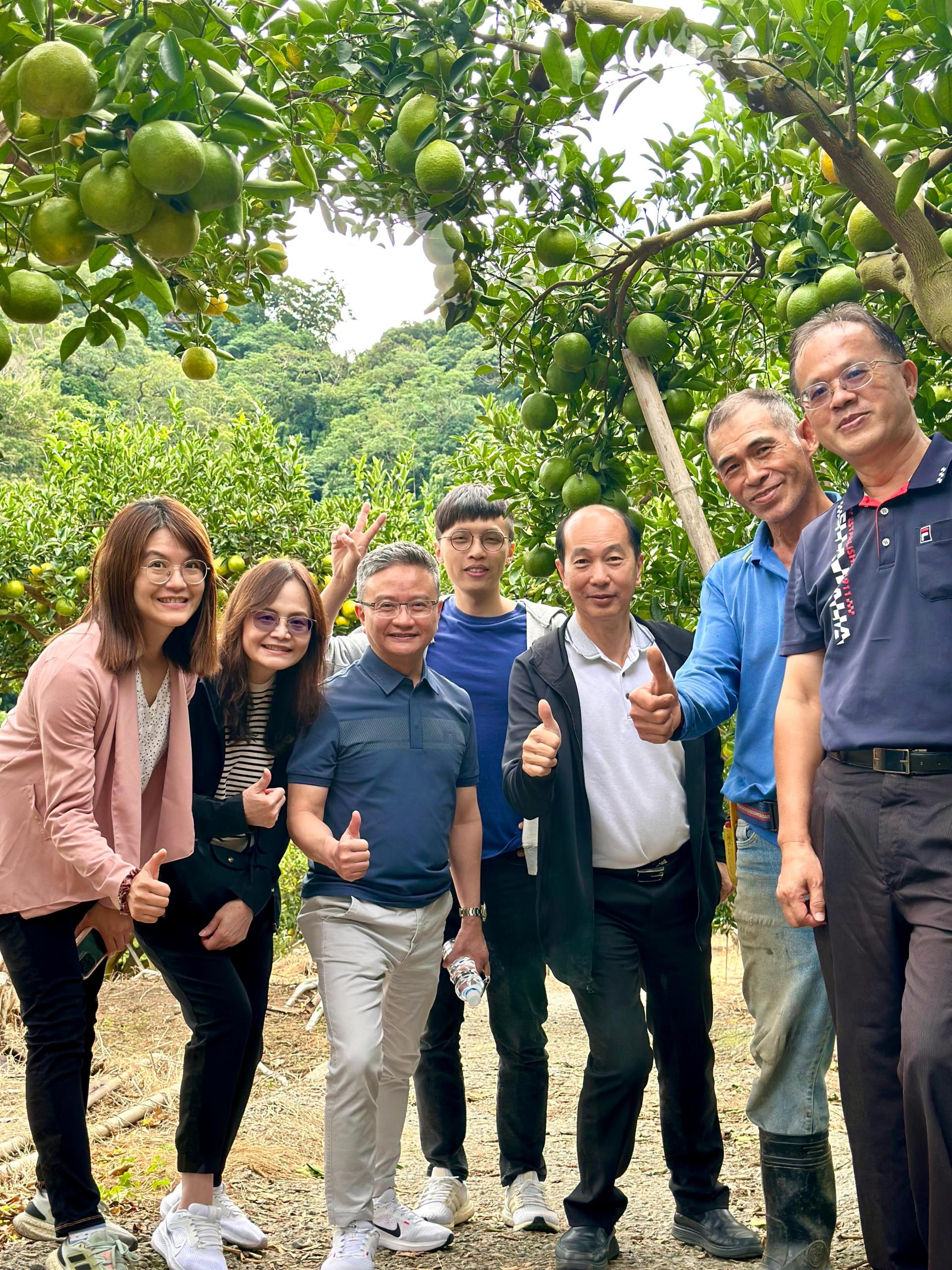 麦顺成与好友参观台中丰原区农会果园