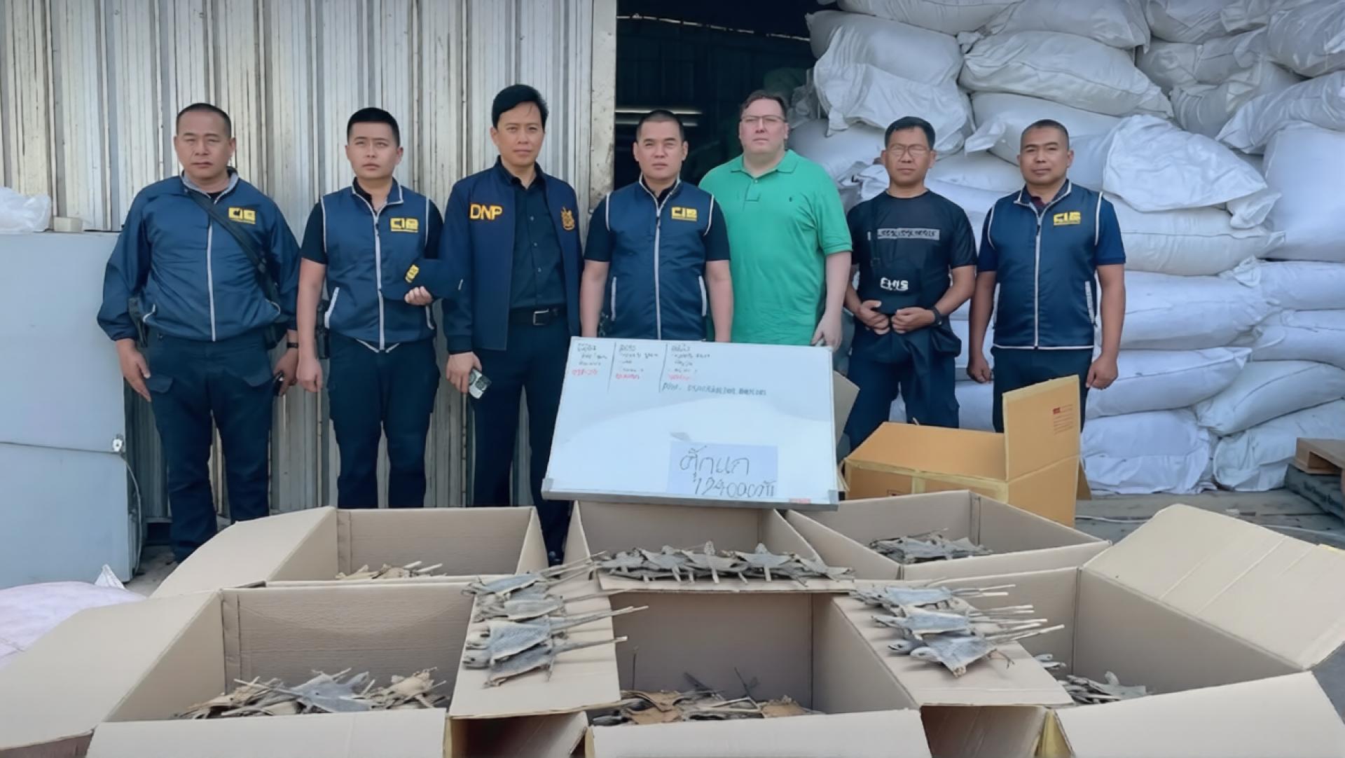 泰国相关部门，查获与跨国野生动物走私有关的12万4000只干蜥蜴尸体。