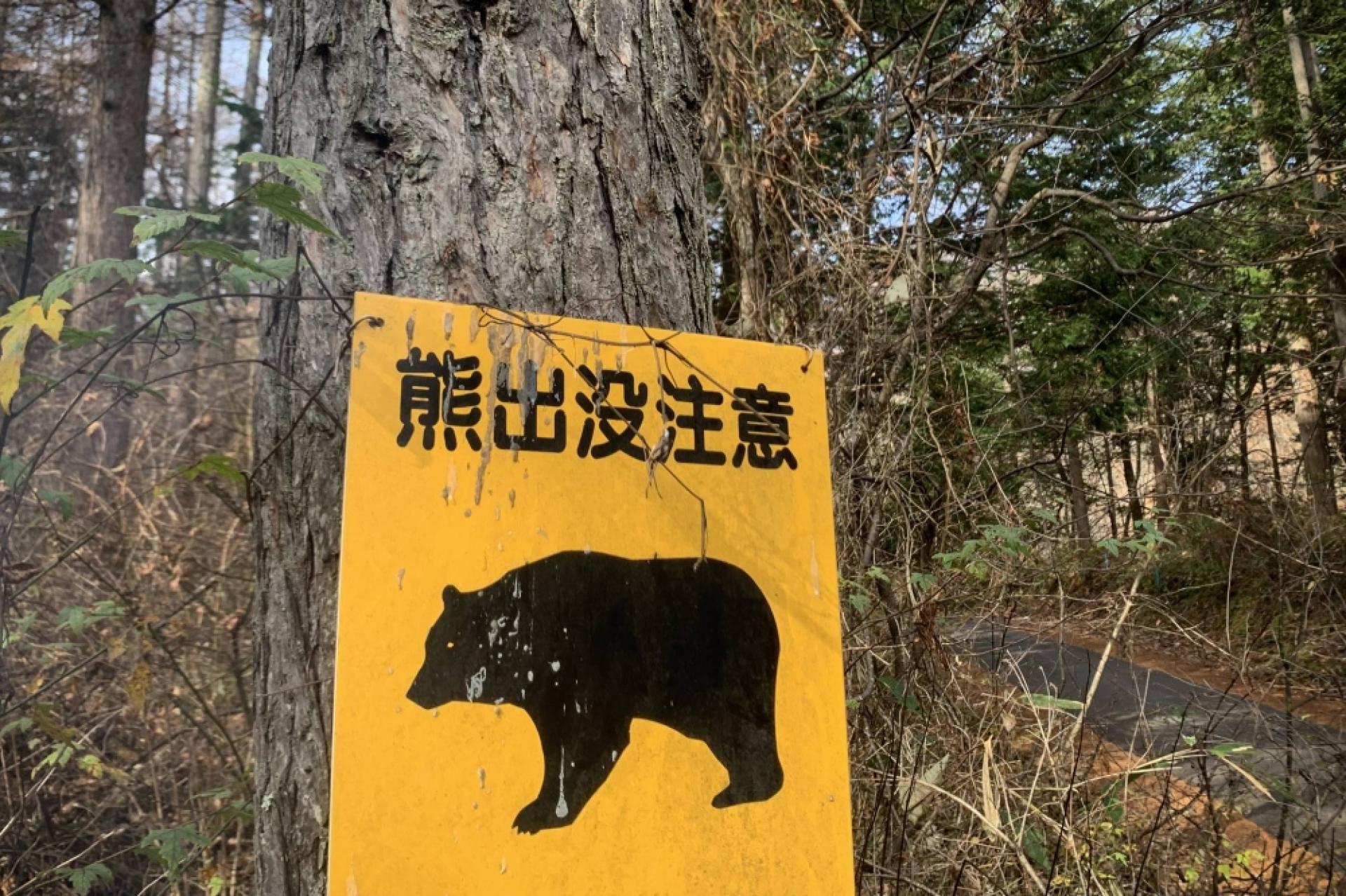 日本再发生熊袭击民众的事件。