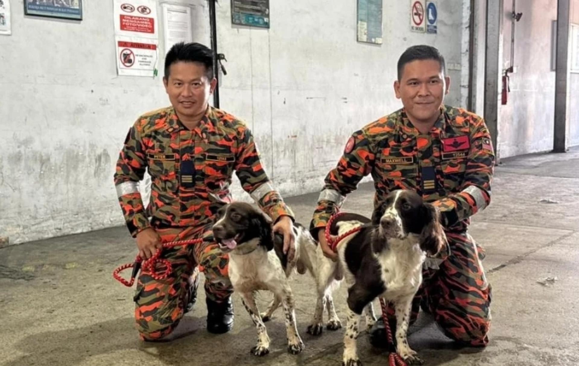 来自英国的史宾格犬分别名为Max和Cooper已抵达古晋，为搜救犬队增添了新的力量。