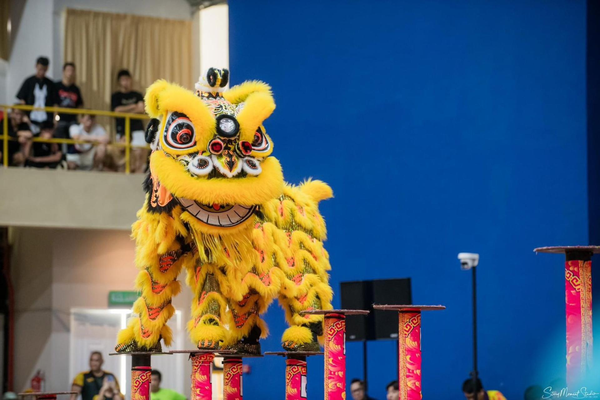 同乐公益慈善基金会瑞狮队员进行采青练习