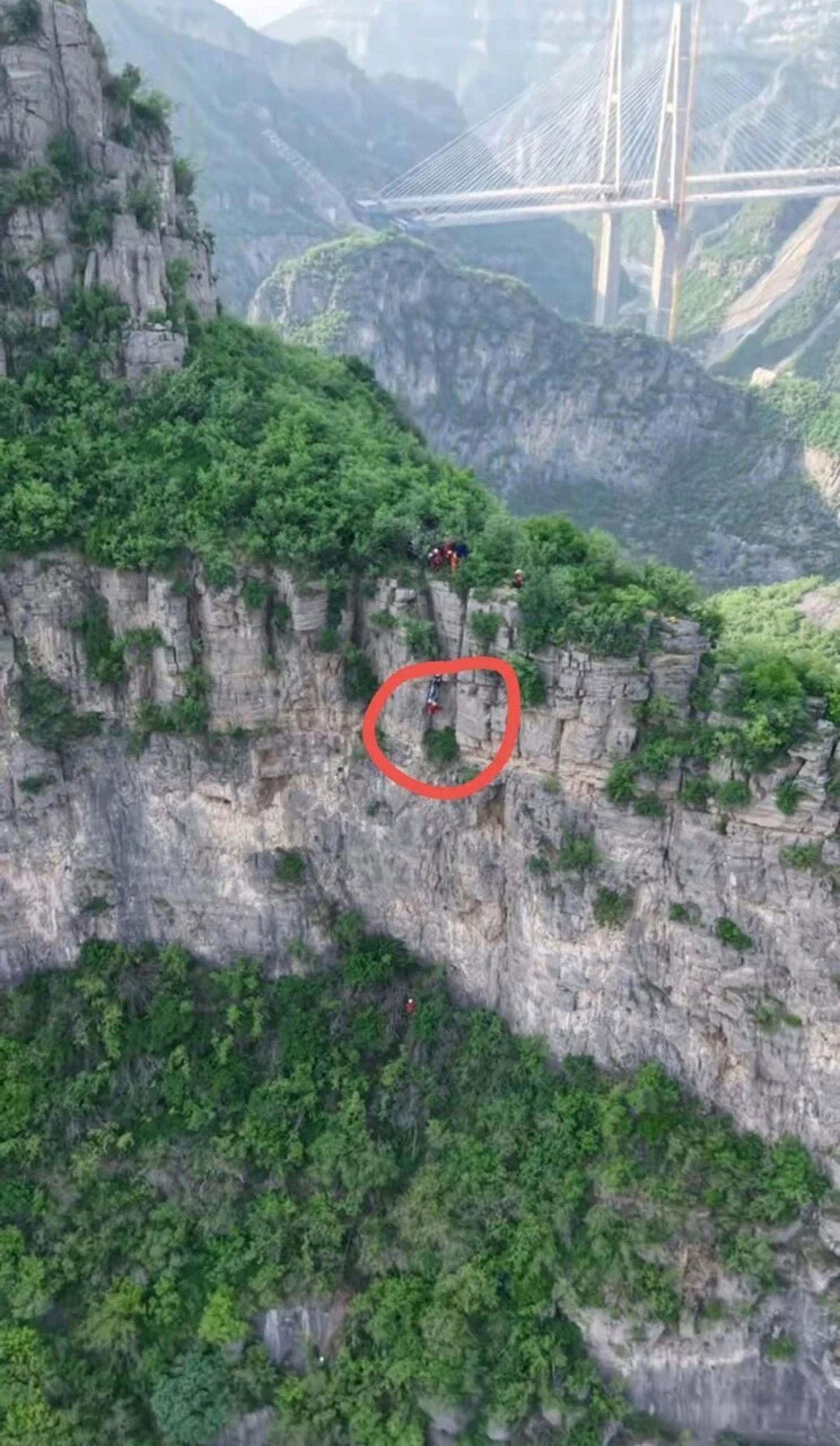 登山客失足坠崖挂在树枝上。（图：极目新闻）