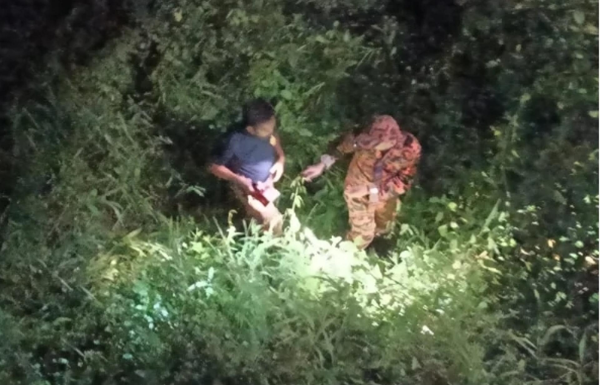 消拯人员在灌木林中查寻有关男子的下落。