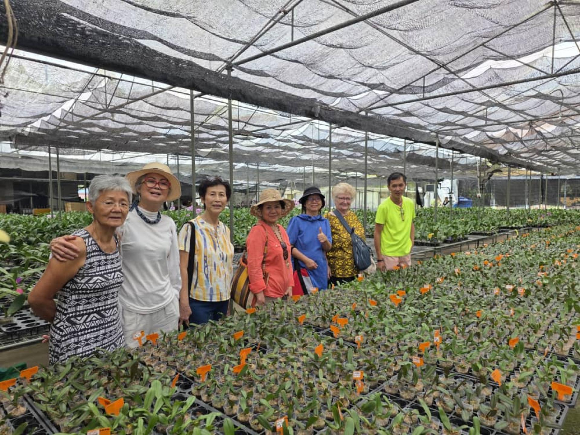 罗韵华医生（右3）率领会员参观胡姬花育苗圃，与众人合影留念。