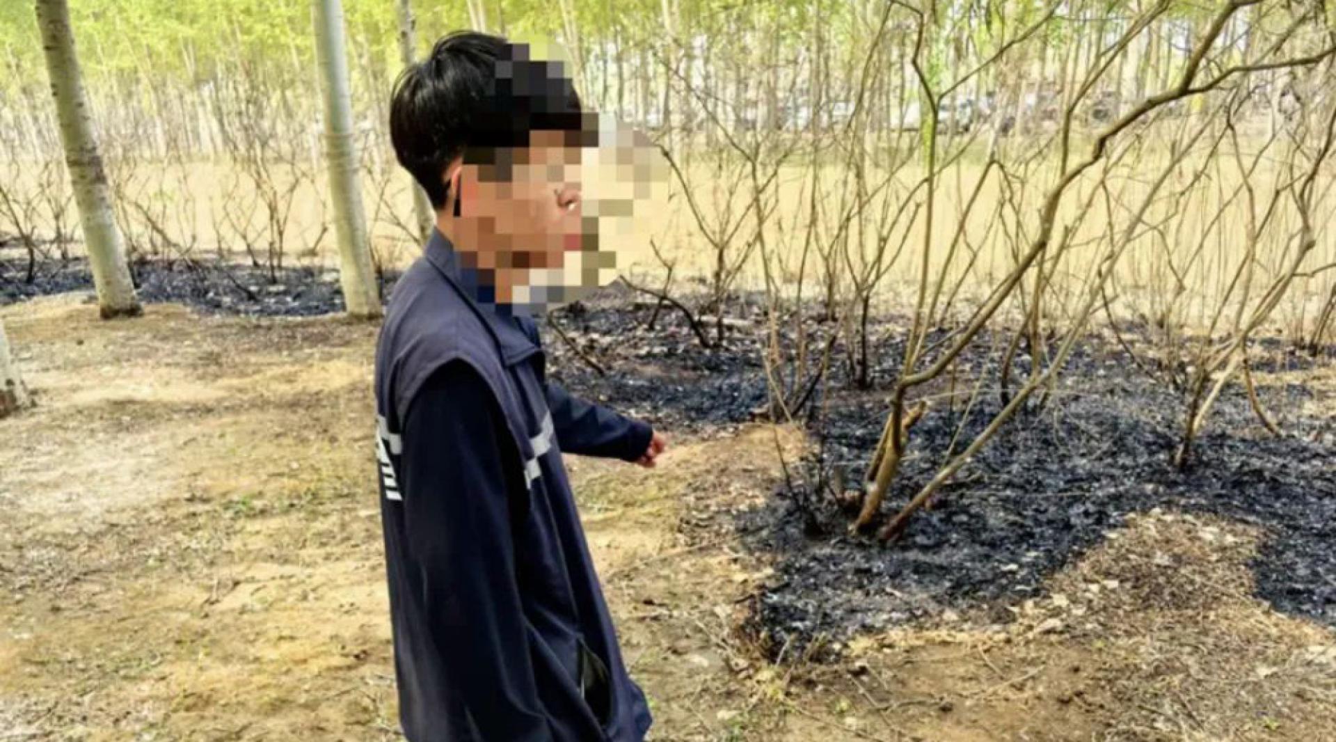 男子在停车场用打火机点燃杨柳絮引燃树木，被行政拘留10日。