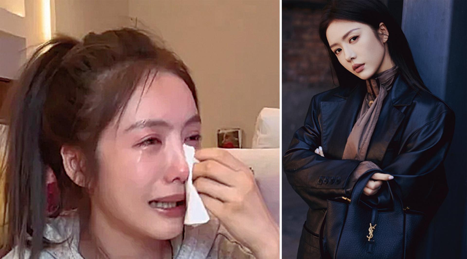蔡文静在深夜直播中爆哭。