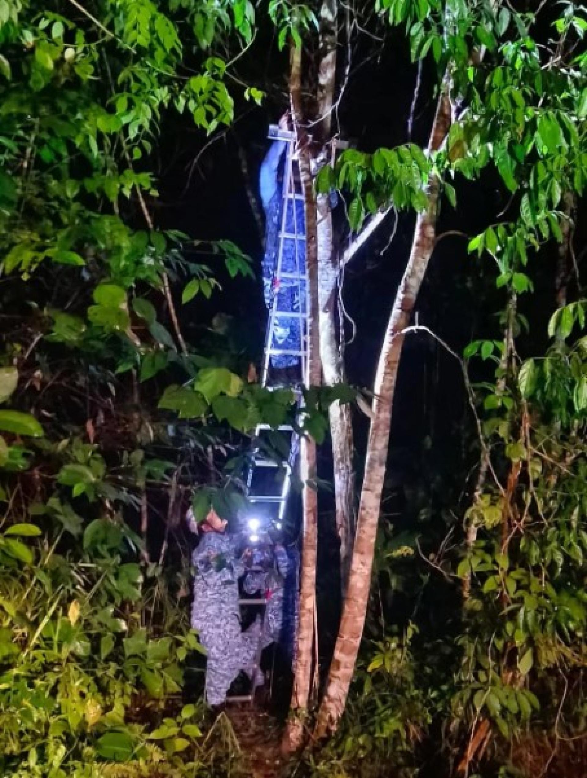 马来西亚民防部队林梦分队人员使用梯子与绳索，在Bukit Hitam救下一只受困树上的宠物猫，并将其安全交还主人。