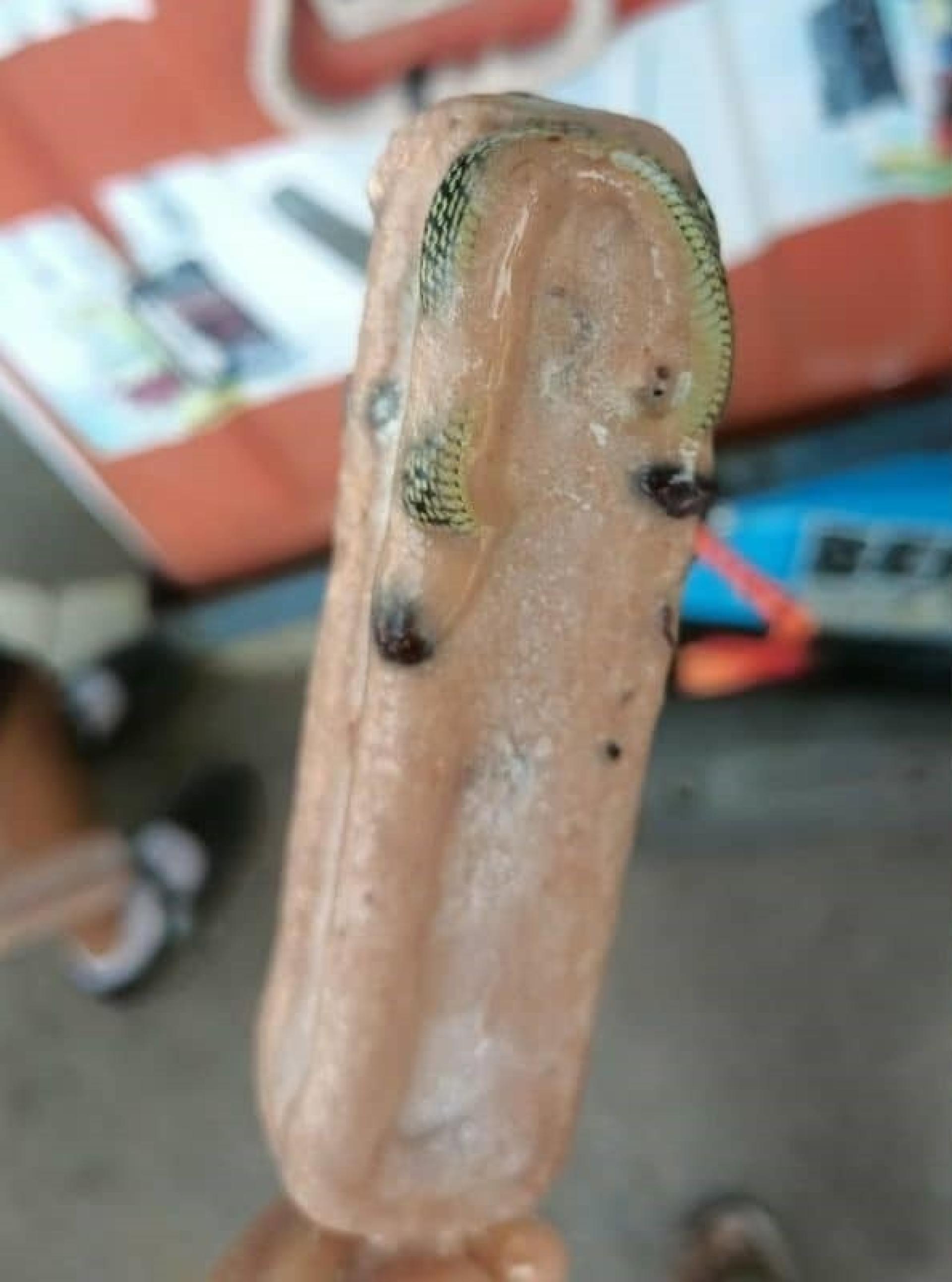 拆开包装后惊讶发现，冰棒内部竟然“封住了一条完整的小蛇”。（照片取自The Thaiger）
