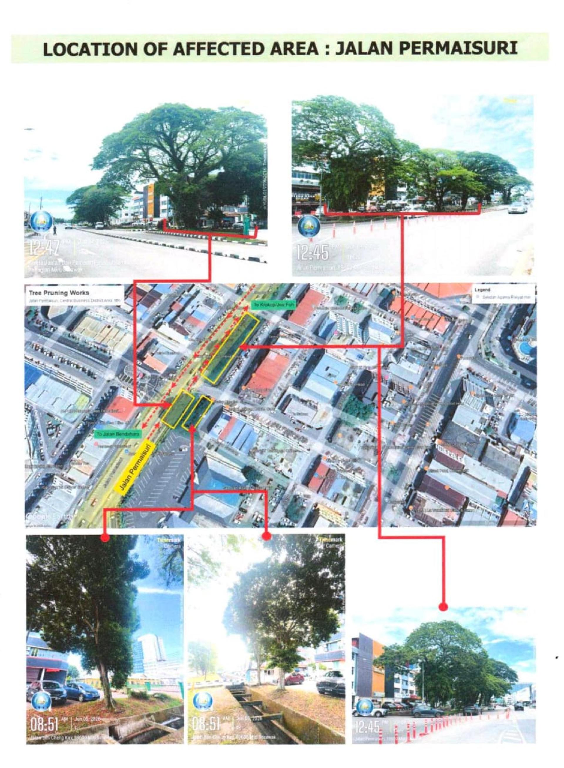 美里市政局将于2026年6月15日至20日在柏迈苏里路展开树木修剪工程，建议公众尽可能使用替代路线，以避免交通延误及确保行程顺畅。