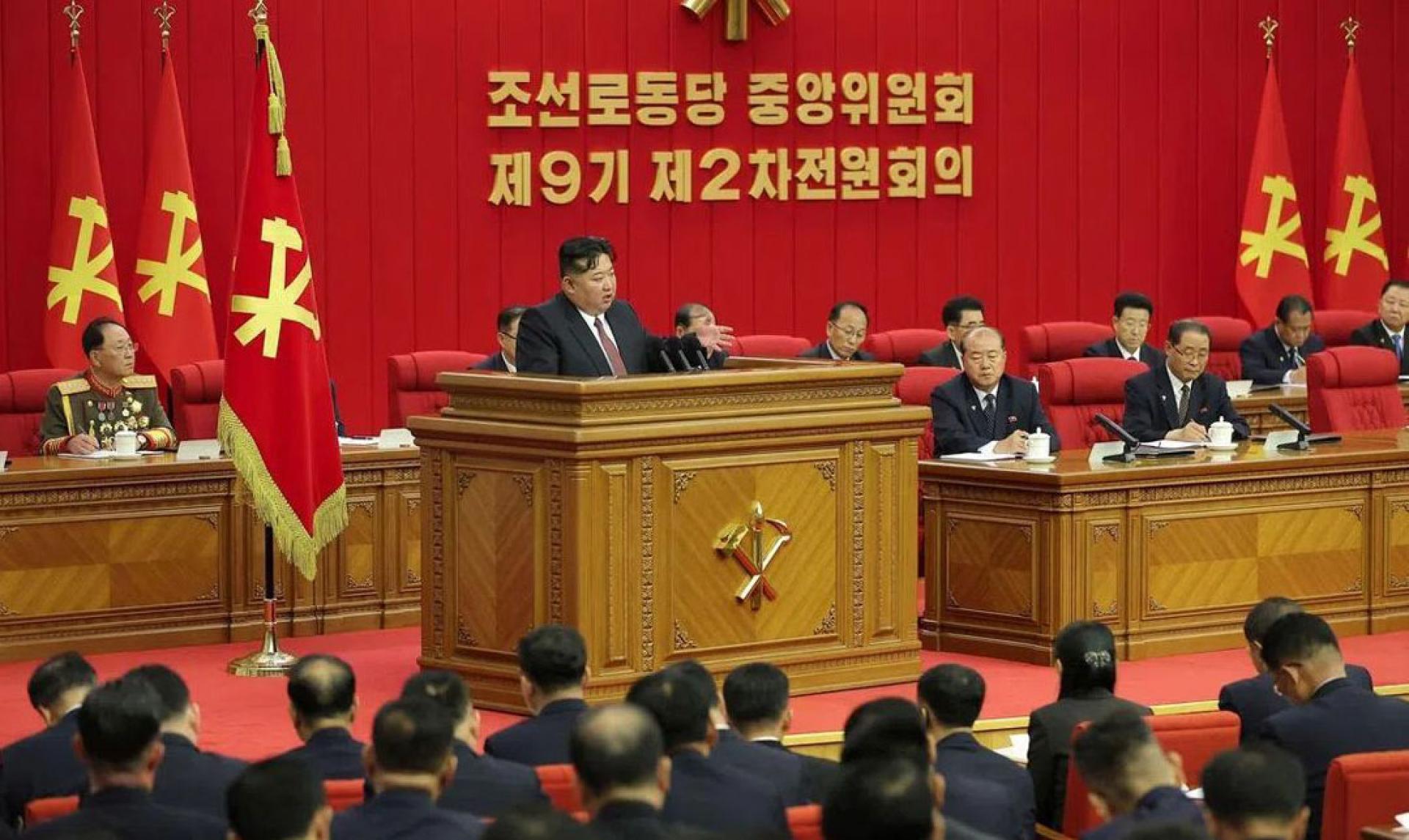 金正恩在劳动党第九届中央委员会第二次扩大全会上讲话。