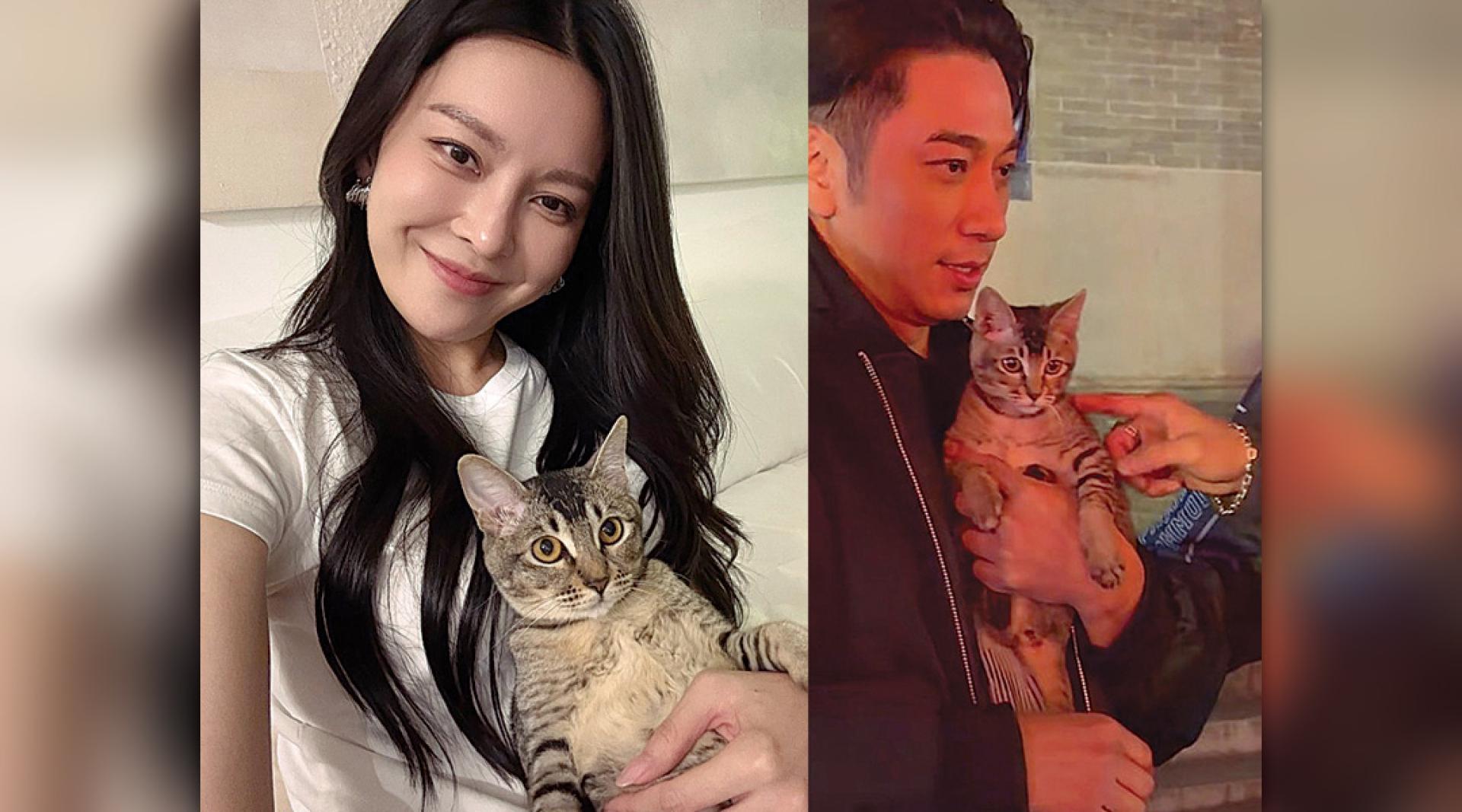 张曦雯新养的猫咪与吴卓羲今年初所抱的流浪猫极为相似。