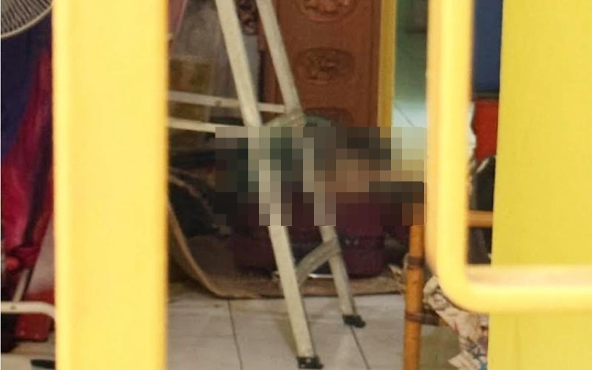 加影一住宅花园单位发生行李箱藏尸案，死者为一名尼泊尔籍女子，警方已援引谋杀罪名展开调查。