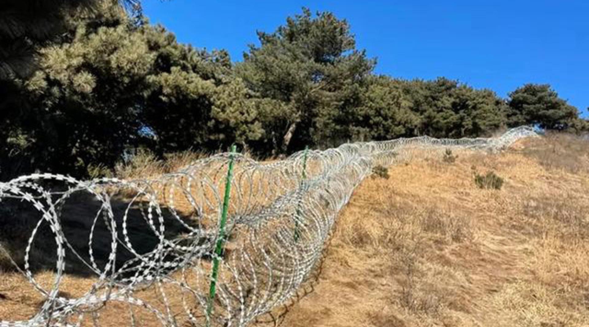 泰山景区周边设135公里刀片刺网，用于封堵非开放区800多个违规入口，属“地网”防火体系一部分。