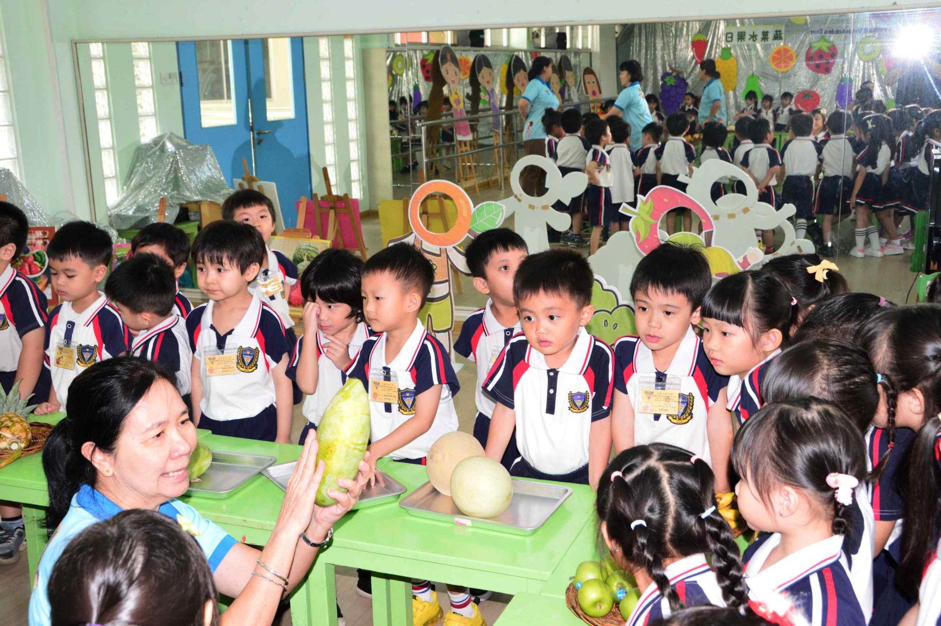 汶中幼儿在老师的指导下认识不同种类的水果