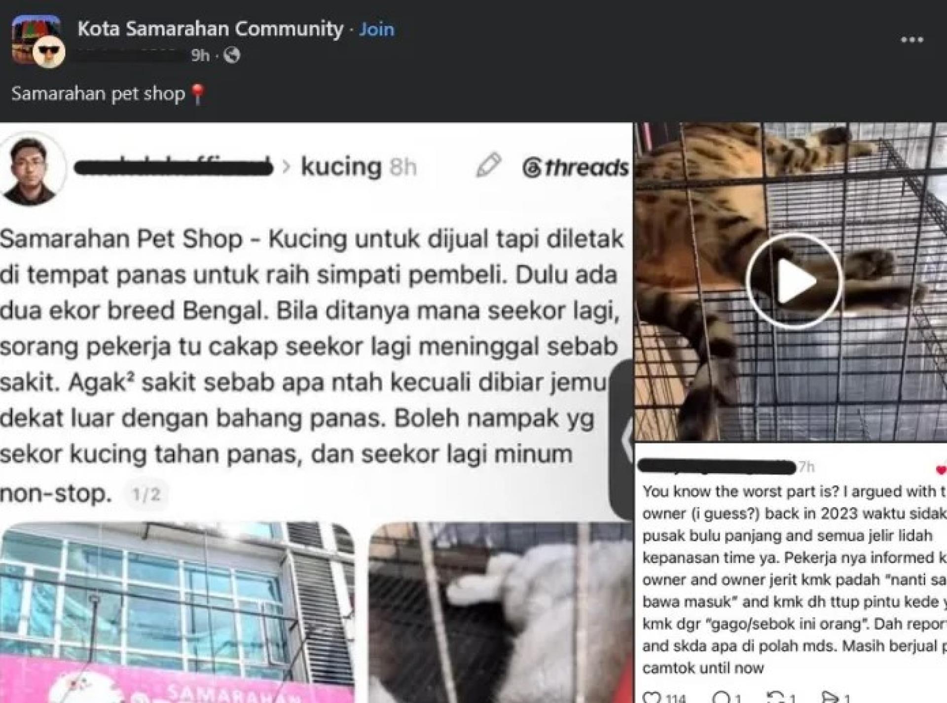 Kota Samarahan Community脸书群组贴文截图，内容汇整网民对一家本地宠物店对待猫只方式的指控及评价。