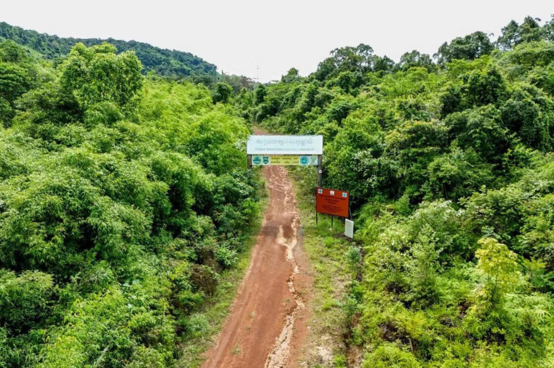 印度将从国内3600多只老虎中选出数只，送往柬埔寨西南部的豆蔻山脉，协助柬埔寨恢复野生老虎数量。图为通往柬埔寨戈公省（Koh Kong）豆蔻国家公园的道路。