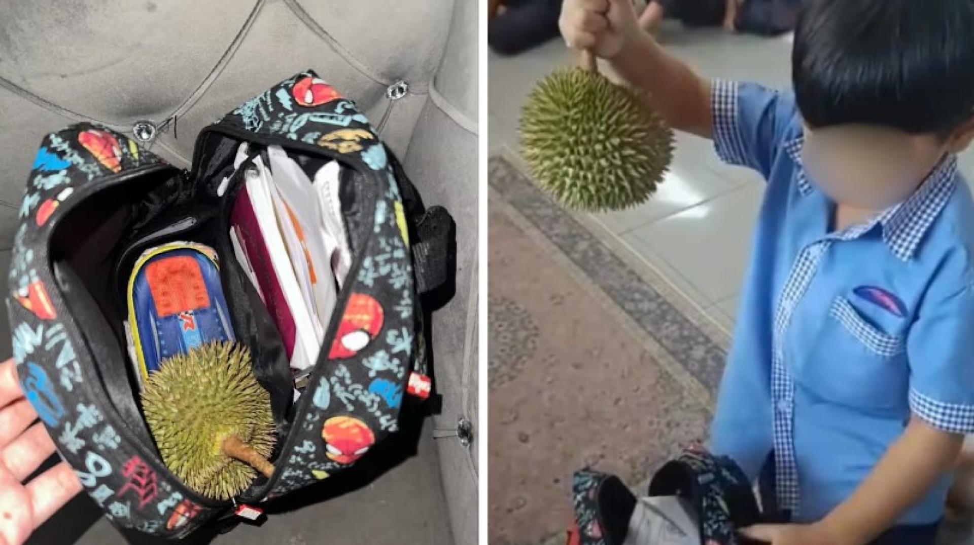 马来西亚一名幼儿园男童得知最喜欢的老师即将调职后，把整个榴梿塞进书包带到学校，作为送给老师的答谢礼。