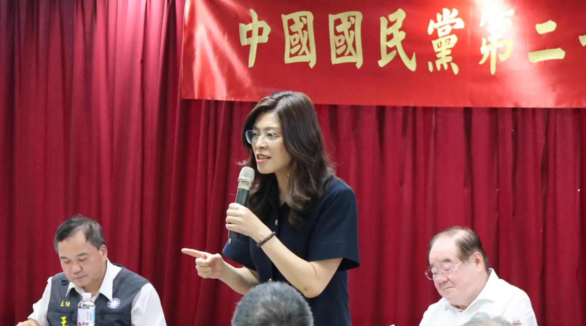郑丽文在中央评议委员会议上致词。