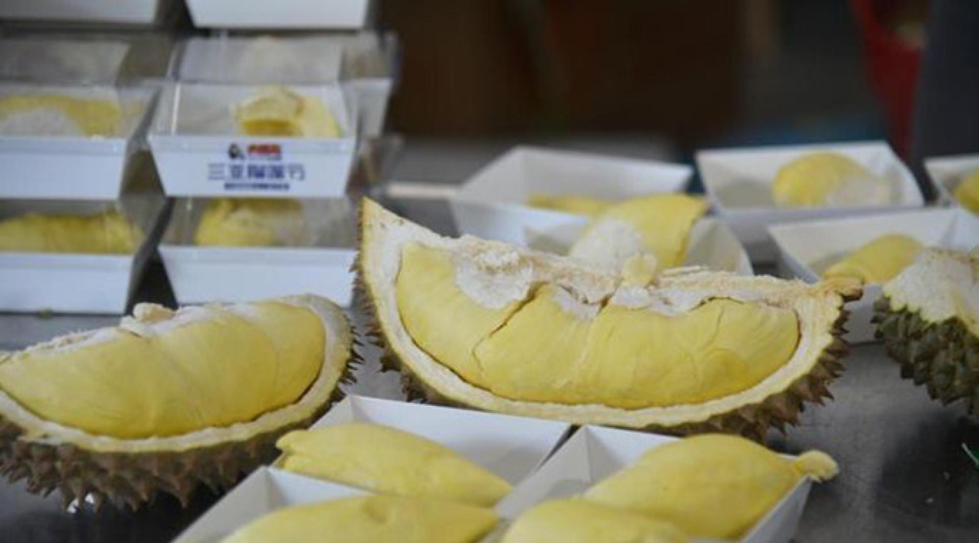 7月26日，三亚市榴莲节在三亚市育才生态区开幕，现场开出的榴莲果肉饱满、甜香四溢。