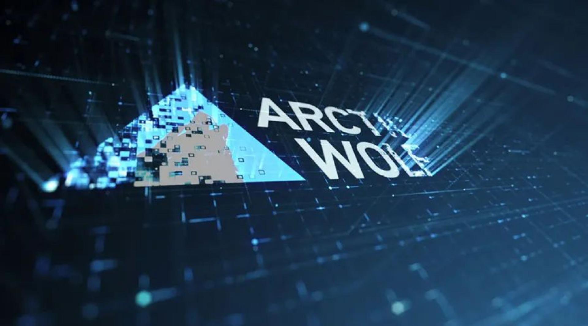 网络安全公司Arctic Wolf Networks。