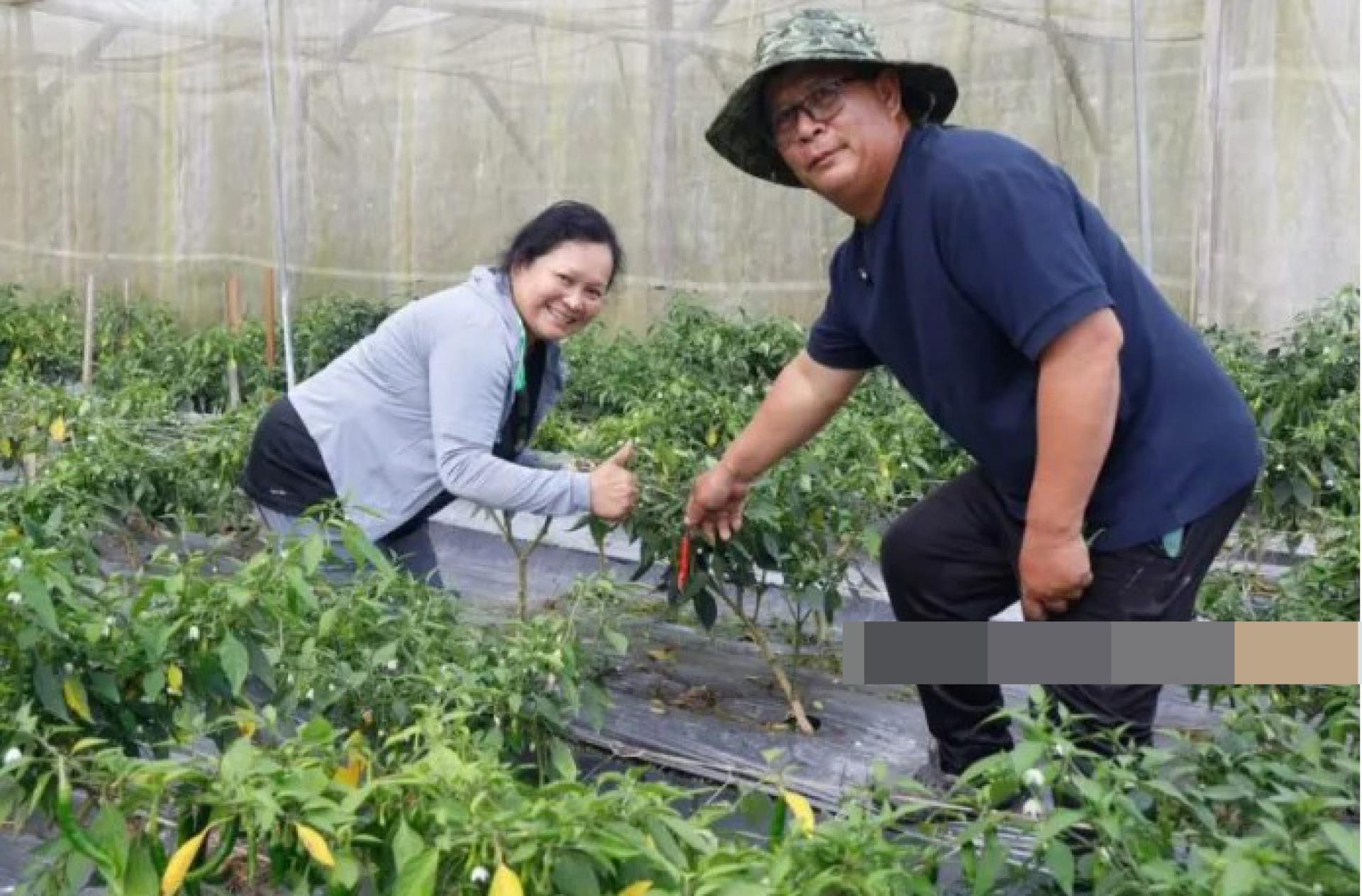 所罗门（右）与妻子在巴里奥SSS辣椒农场合影。照片：Ukas