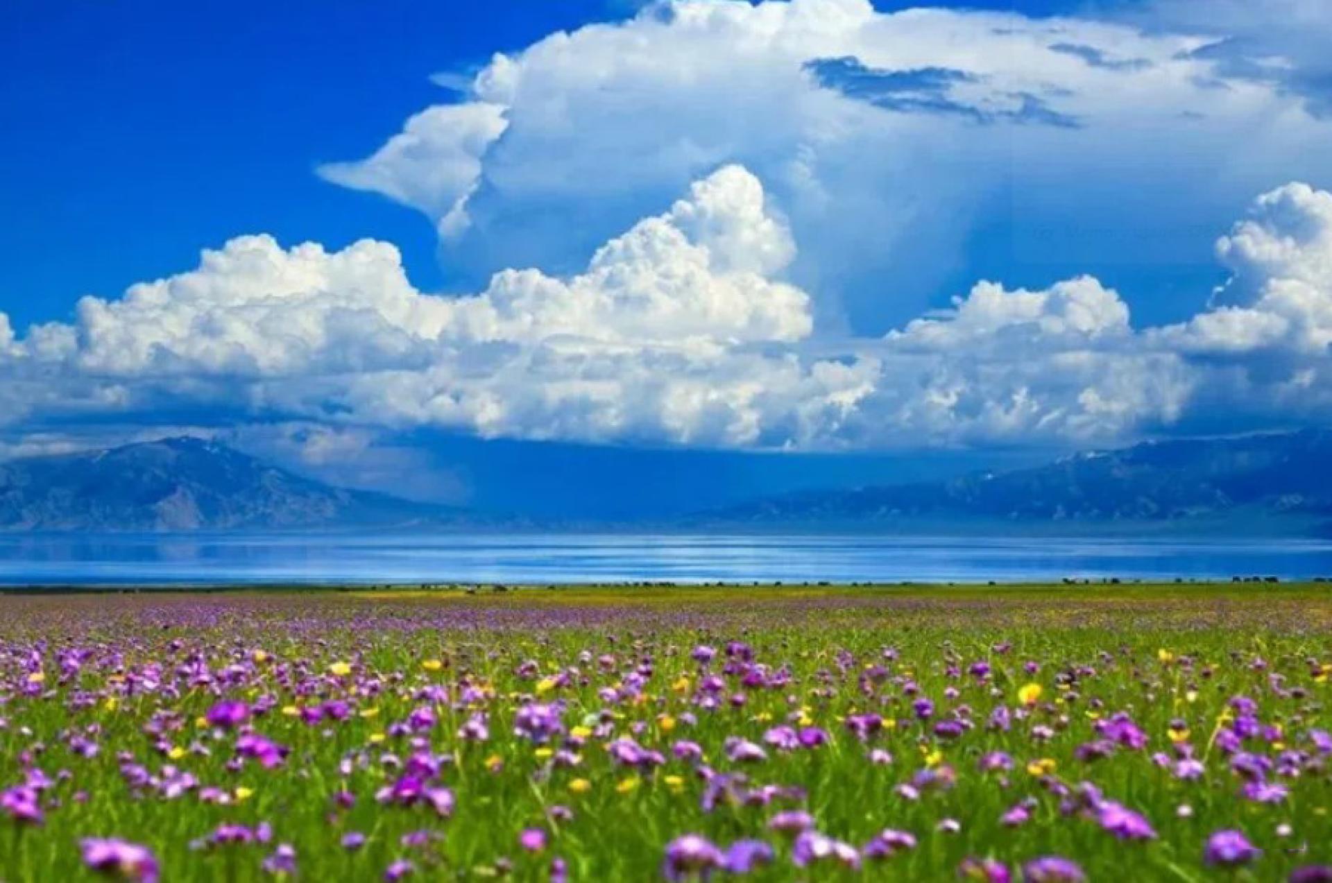 赛里木湖景区7月23日发生工作人员殴打旅游车司机事件，造成恶劣影响。图为赛里木湖。