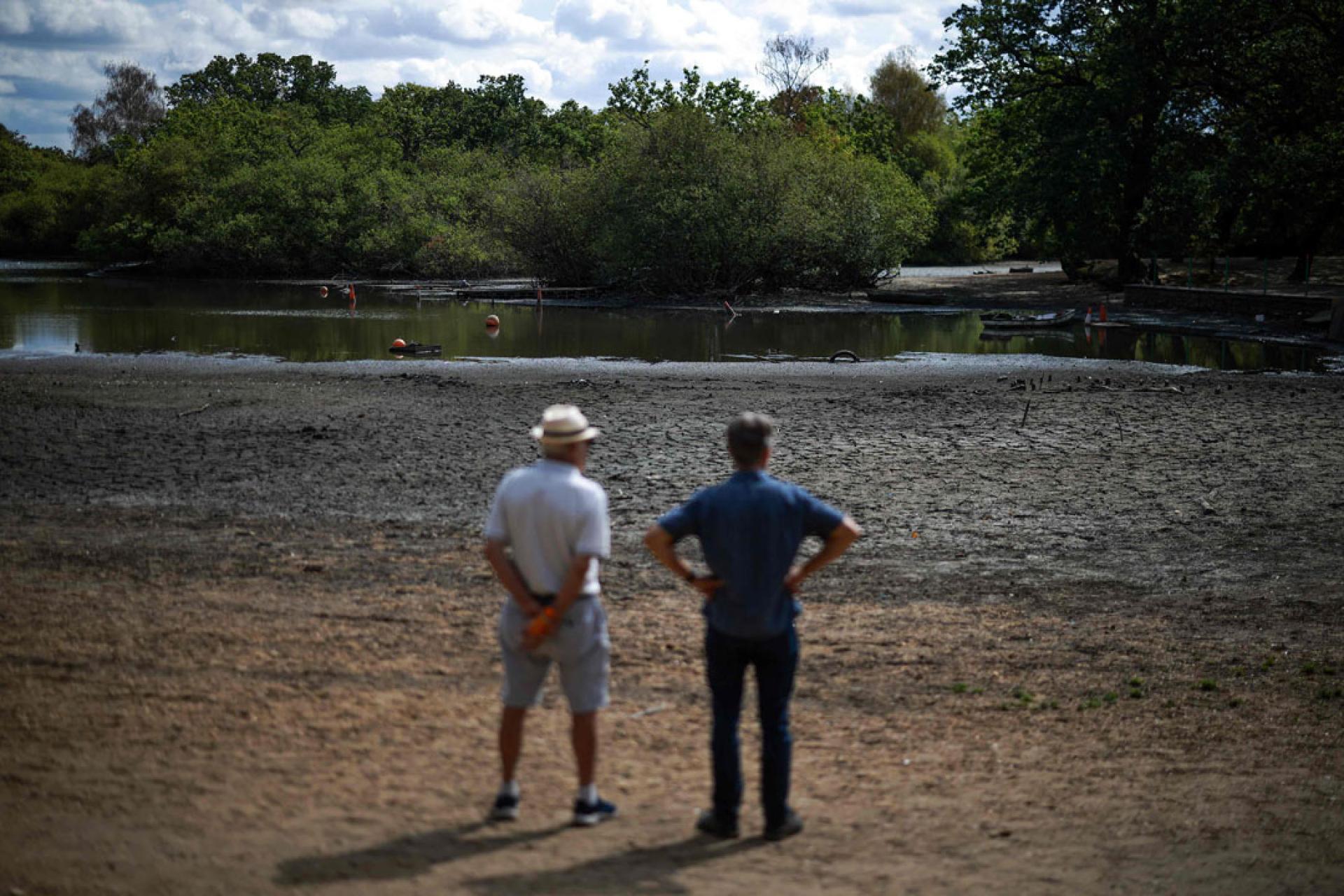 伦敦东部万斯特德附近的霍洛池和莱顿平地，池塘与地面干涸开裂。