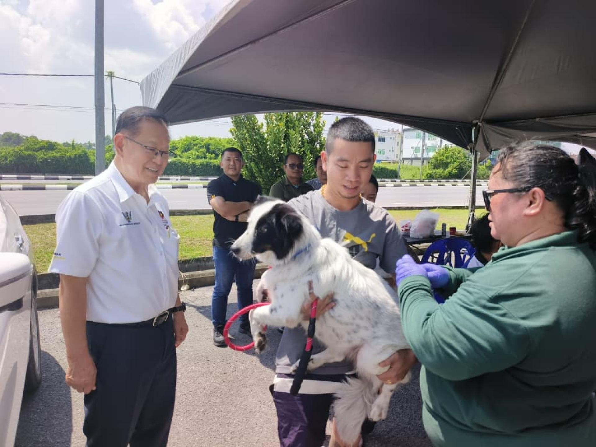 狗主带狗只前往接受免费狂犬病疫苗接种及植入芯片服务。左为李景胜。