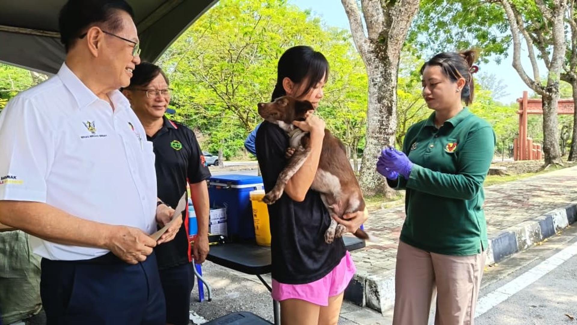 李景胜（左）在美里兽医服务局流动疫苗接种计划期间，观看一只狗接受狂犬病疫苗接种。