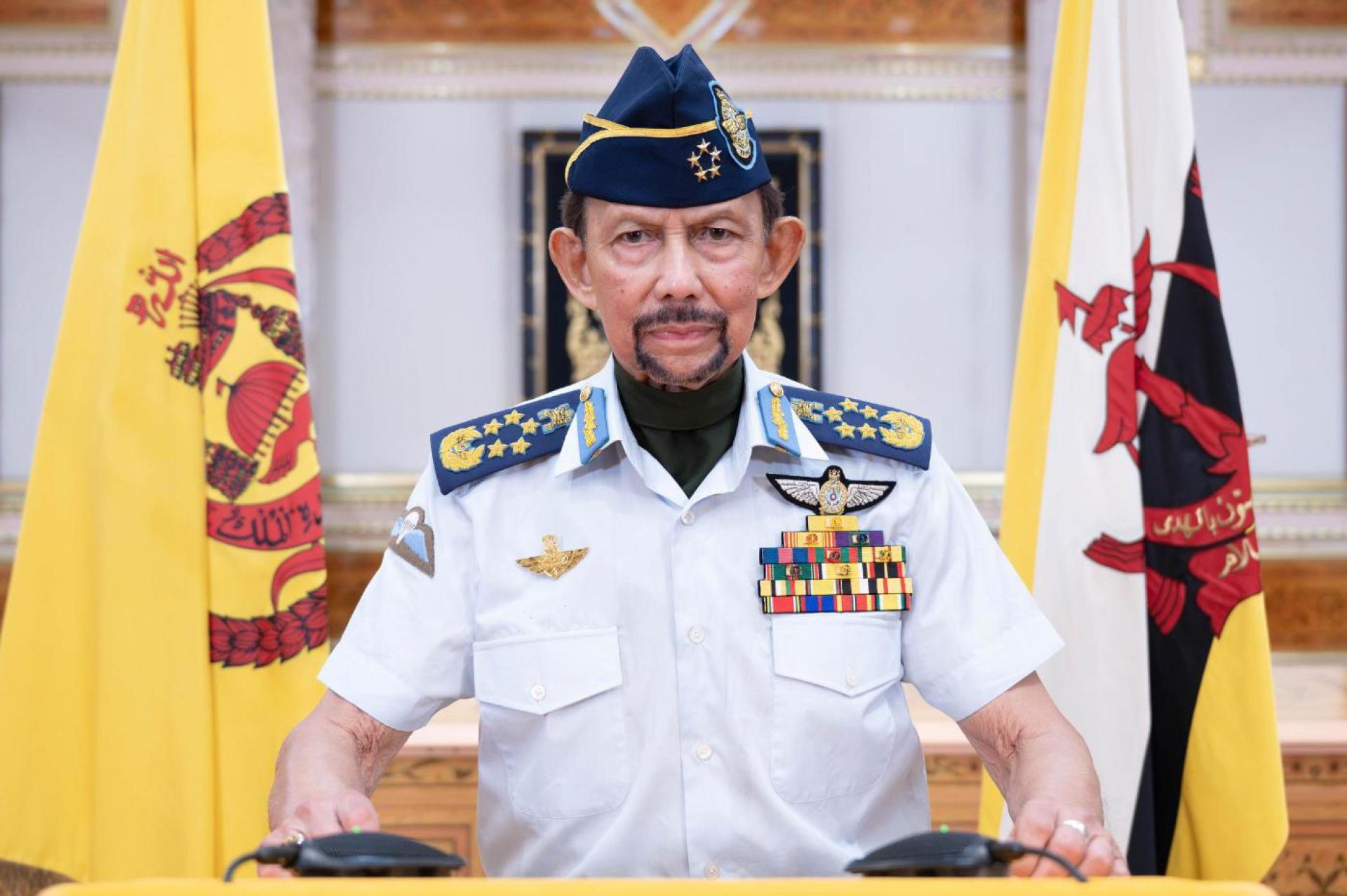 苏丹陛下发表御词