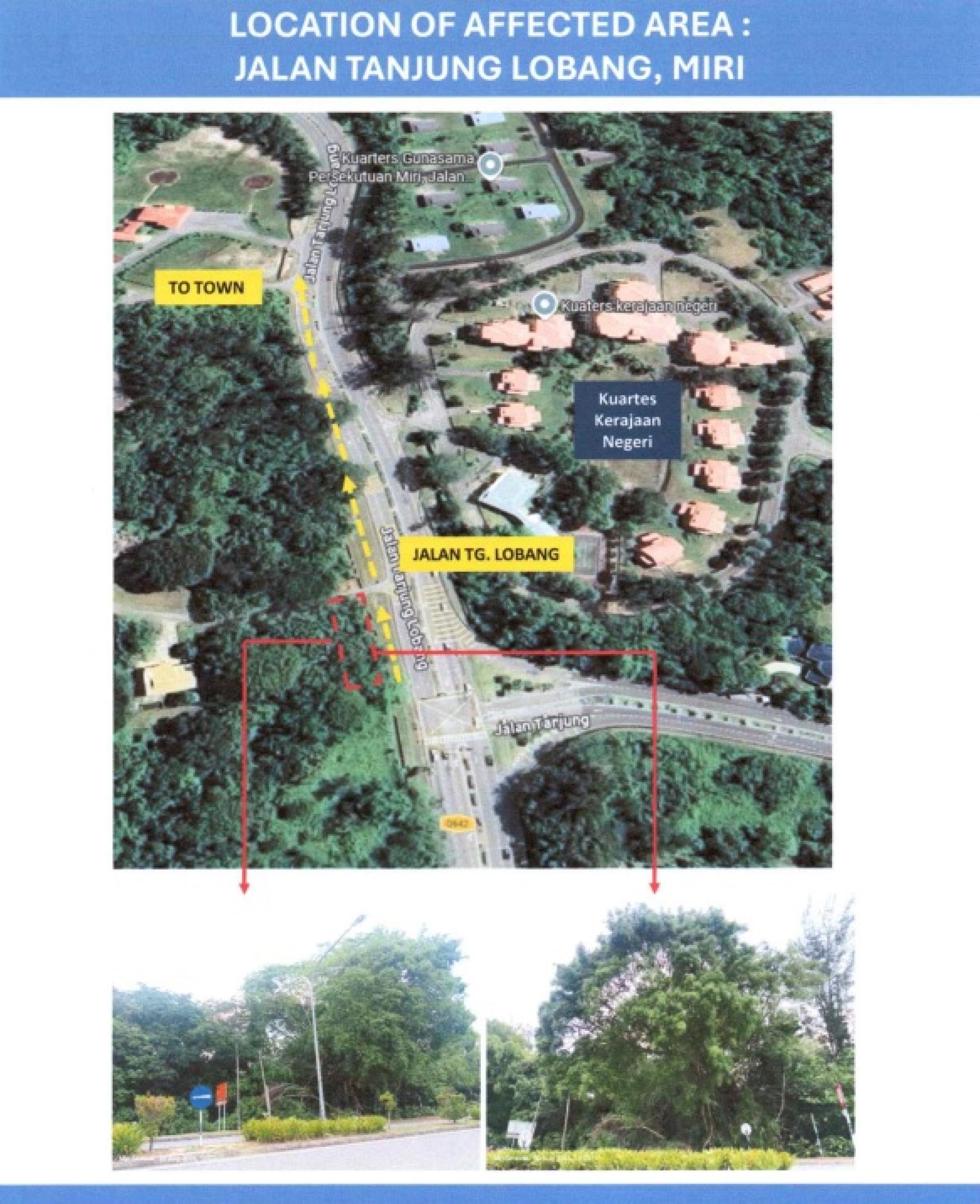 美里市政局发出通知，位于丹绒罗邦路、州政府大楼对面的私人土地将于本月28日至30日进行树木修剪工程，公众受促谨慎驾驶。